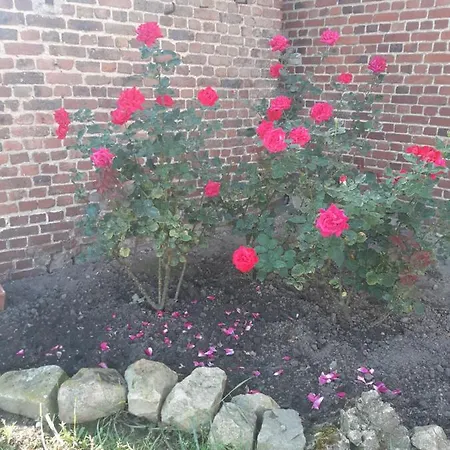 ベッド・アンド・ブレックファスト Au Coeur De L'enclave 3*